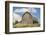 Idaho, Columbia River Basin, Camas Prairie, Old Barn-Alison Jones-Framed Photographic Print