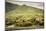 Idaho, Hells Canyon Reach of Snake River, a Cluster of Homes-Alison Jones-Mounted Photographic Print