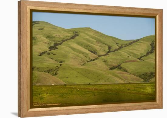 Idaho, Hillside with Small Creeks That Flow into the Salmon River-Alison Jones-Framed Premier Image Canvas