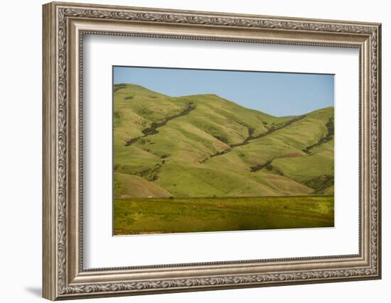 Idaho, Hillside with Small Creeks That Flow into the Salmon River-Alison Jones-Framed Photographic Print