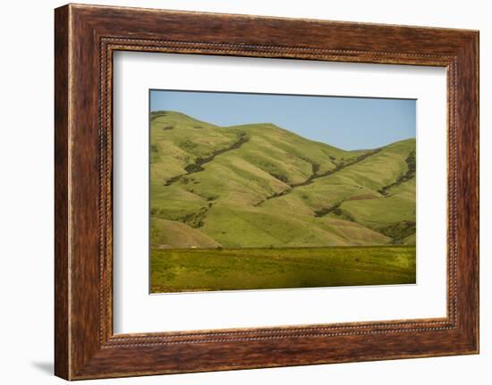 Idaho, Hillside with Small Creeks That Flow into the Salmon River-Alison Jones-Framed Photographic Print