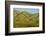 Idaho, Hillside with Small Creeks That Flow into the Salmon River-Alison Jones-Framed Photographic Print