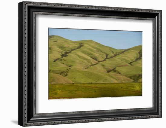 Idaho, Hillside with Small Creeks That Flow into the Salmon River-Alison Jones-Framed Photographic Print