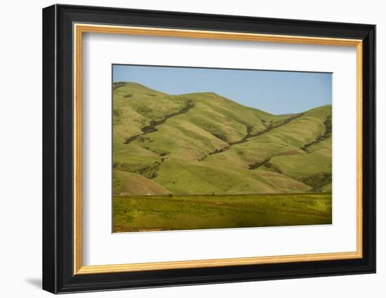 Idaho, Hillside with Small Creeks That Flow into the Salmon River-Alison Jones-Framed Photographic Print