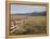 Idaho, Sawtooth National Recreation Area-John Barger-Framed Premier Image Canvas