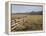 Idaho, Sawtooth National Recreation Area-John Barger-Framed Premier Image Canvas