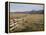 Idaho, Sawtooth National Recreation Area-John Barger-Framed Premier Image Canvas