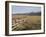 Idaho, Sawtooth National Recreation Area-John Barger-Framed Photographic Print