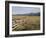 Idaho, Sawtooth National Recreation Area-John Barger-Framed Photographic Print