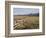 Idaho, Sawtooth National Recreation Area-John Barger-Framed Photographic Print