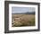 Idaho, Sawtooth National Recreation Area-John Barger-Framed Photographic Print