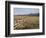 Idaho, Sawtooth National Recreation Area-John Barger-Framed Photographic Print