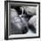 Idaho, USA. Squaw Creek waterfall detail with boulders.-Brent Bergherm-Framed Photographic Print