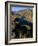 Idaho, Whitewater Rafting on the Snake River in Hells Canyon, USA-Paul Harris-Framed Photographic Print