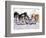 Iditarod Dog Sled Racing through Streets of Anchorage, Alaska, USA-Paul Souders-Framed Photographic Print