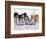 Iditarod Dog Sled Racing through Streets of Anchorage, Alaska, USA-Paul Souders-Framed Photographic Print