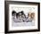 Iditarod Dog Sled Racing through Streets of Anchorage, Alaska, USA-Paul Souders-Framed Photographic Print