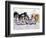 Iditarod Dog Sled Racing through Streets of Anchorage, Alaska, USA-Paul Souders-Framed Photographic Print