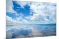 Photographic Print