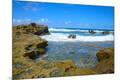 Premium Photographic Print