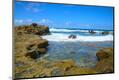 Photographic Print