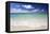 Idyllic Beach Scene with Blue Sky, Aquamarine Sea and Soft Sand, Ile Aux Cerfs-Lee Frost-Framed Premier Image Canvas