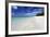 Idyllic Beach Scene with Blue Sky, Aquamarine Sea and Soft Sand, Ile Aux Cerfs-Lee Frost-Framed Photographic Print