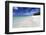 Idyllic Beach Scene with Blue Sky, Aquamarine Sea and Soft Sand, Ile Aux Cerfs-Lee Frost-Framed Photographic Print