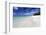 Idyllic Beach Scene with Blue Sky, Aquamarine Sea and Soft Sand, Ile Aux Cerfs-Lee Frost-Framed Photographic Print