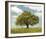 Idyllic Childhood-Midori Greyson-Framed Giclee Print