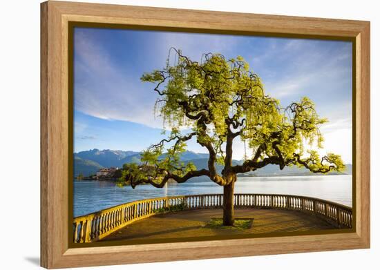 Idyllic Lakeside Park and Isola Bella, Borromean Islands, Lake Maggiore, Piedmont, Italy-Doug Pearson-Framed Premier Image Canvas