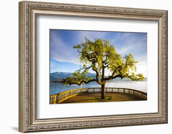 Idyllic Lakeside Park and Isola Bella, Borromean Islands, Lake Maggiore, Piedmont, Italy-Doug Pearson-Framed Photographic Print