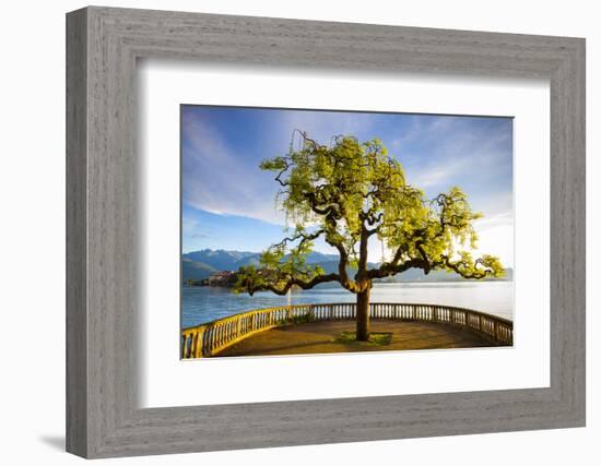 Idyllic Lakeside Park and Isola Bella, Borromean Islands, Lake Maggiore, Piedmont, Italy-Doug Pearson-Framed Photographic Print