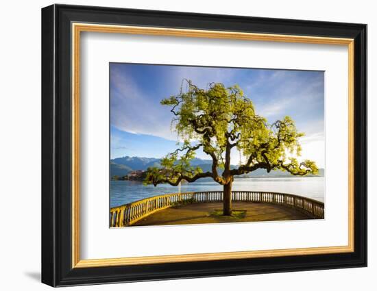 Idyllic Lakeside Park and Isola Bella, Borromean Islands, Lake Maggiore, Piedmont, Italy-Doug Pearson-Framed Photographic Print