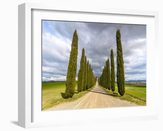Idyllic Tuscan Landscape with Cypress Alley near Pienza, Val D'orcia, Italy-eddygaleotti-Framed Photographic Print