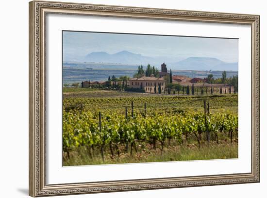 Idyllic Vineyard in La Rioja, Spain, Europe-Martin Child-Framed Photographic Print