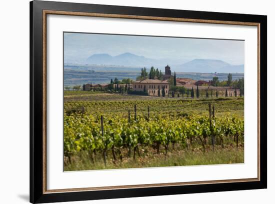 Idyllic Vineyard in La Rioja, Spain, Europe-Martin Child-Framed Photographic Print