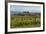 Idyllic Vineyard in La Rioja, Spain, Europe-Martin Child-Framed Photographic Print