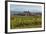 Idyllic Vineyard in La Rioja, Spain, Europe-Martin Child-Framed Photographic Print