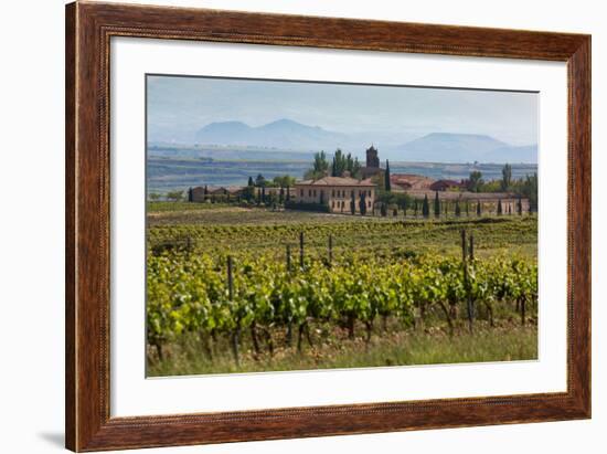 Idyllic Vineyard in La Rioja, Spain, Europe-Martin Child-Framed Photographic Print