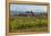 Idyllic Vineyard in La Rioja, Spain, Europe-Martin Child-Framed Premier Image Canvas