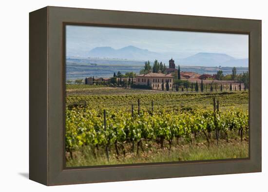 Idyllic Vineyard in La Rioja, Spain, Europe-Martin Child-Framed Premier Image Canvas