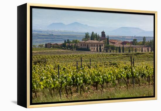 Idyllic Vineyard in La Rioja, Spain, Europe-Martin Child-Framed Premier Image Canvas