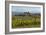 Idyllic Vineyard in La Rioja, Spain, Europe-Martin Child-Framed Photographic Print