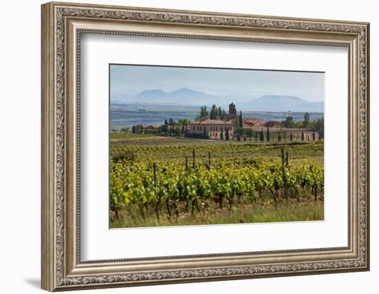 Idyllic Vineyard in La Rioja, Spain, Europe-Martin Child-Framed Photographic Print