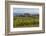 Idyllic Vineyard in La Rioja, Spain, Europe-Martin Child-Framed Photographic Print