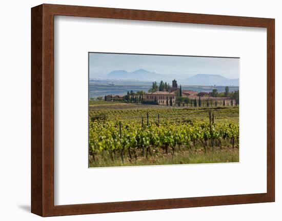 Idyllic Vineyard in La Rioja, Spain, Europe-Martin Child-Framed Photographic Print