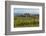 Idyllic Vineyard in La Rioja, Spain, Europe-Martin Child-Framed Photographic Print