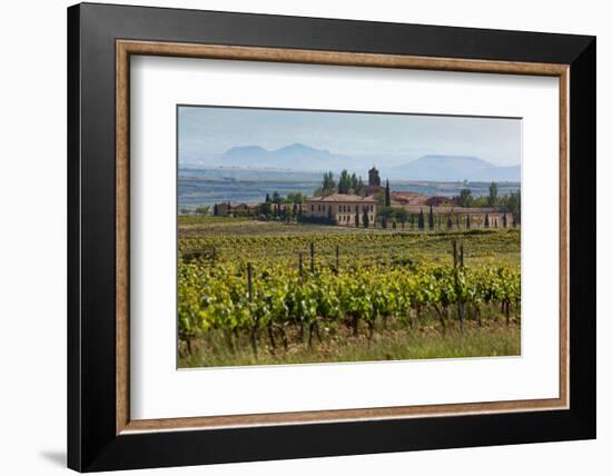 Idyllic Vineyard in La Rioja, Spain, Europe-Martin Child-Framed Photographic Print