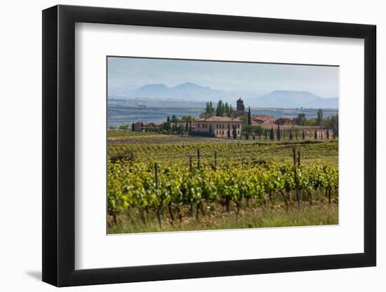 Idyllic Vineyard in La Rioja, Spain, Europe-Martin Child-Framed Photographic Print